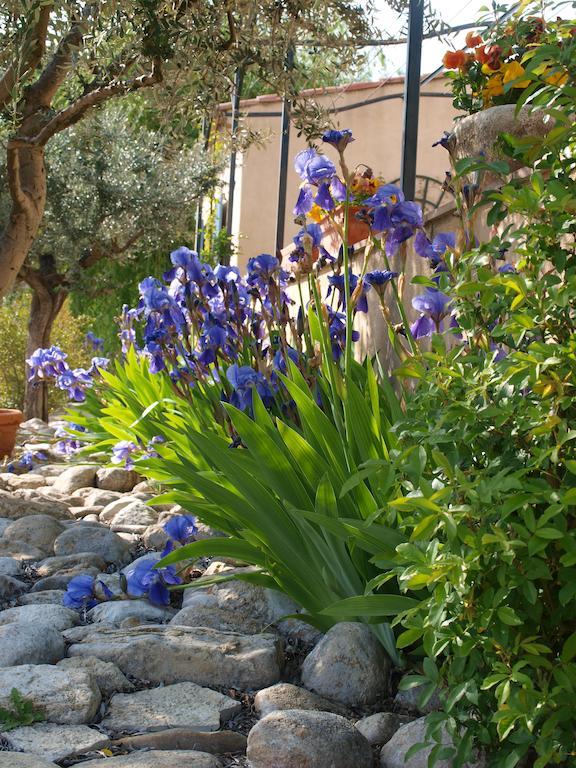 לינה וארוחת בוקר Ansouis Jardin D'Antan מראה חיצוני תמונה